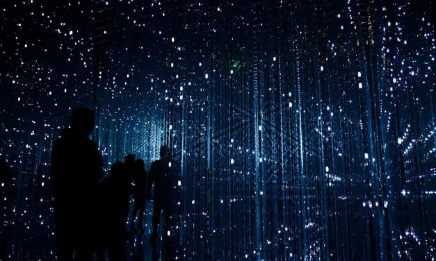 Waarom gereguleerde online platforms steeds belangrijker worden